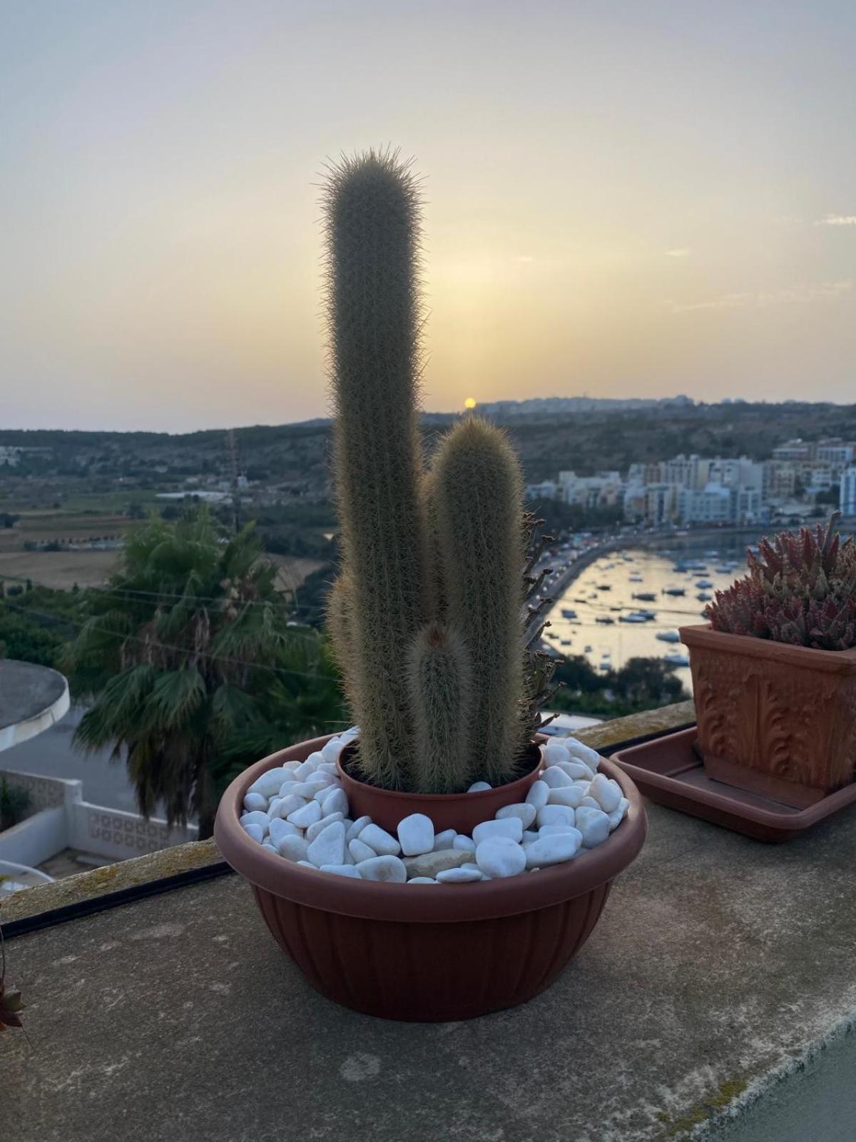 Villa Zammitella St Paul's Bay Zewnętrze zdjęcie